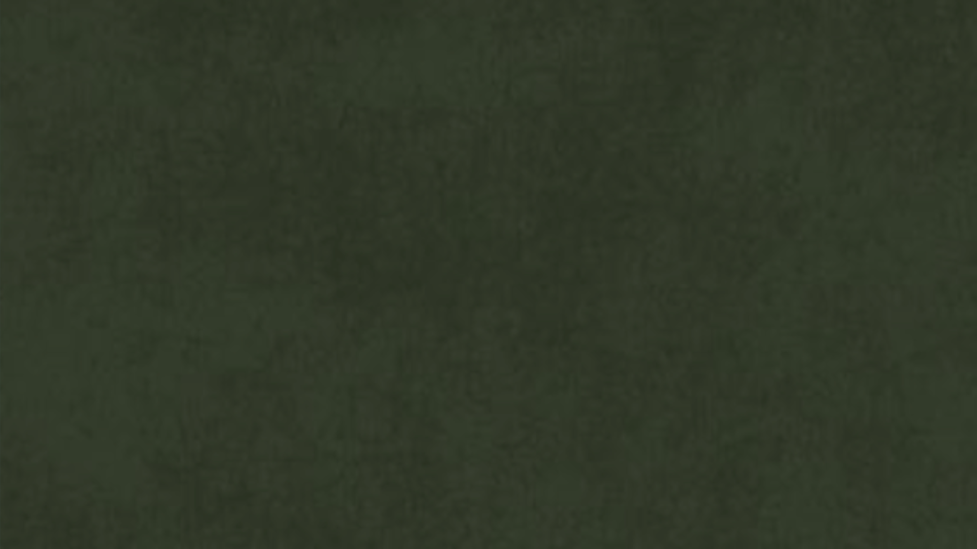 Vihaara Background